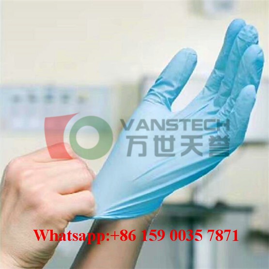 Synthetic Vinyl Exam Gloves